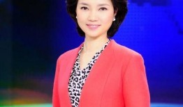 吉林主持人爆料新闻事件,揭秘新闻事件背后真相